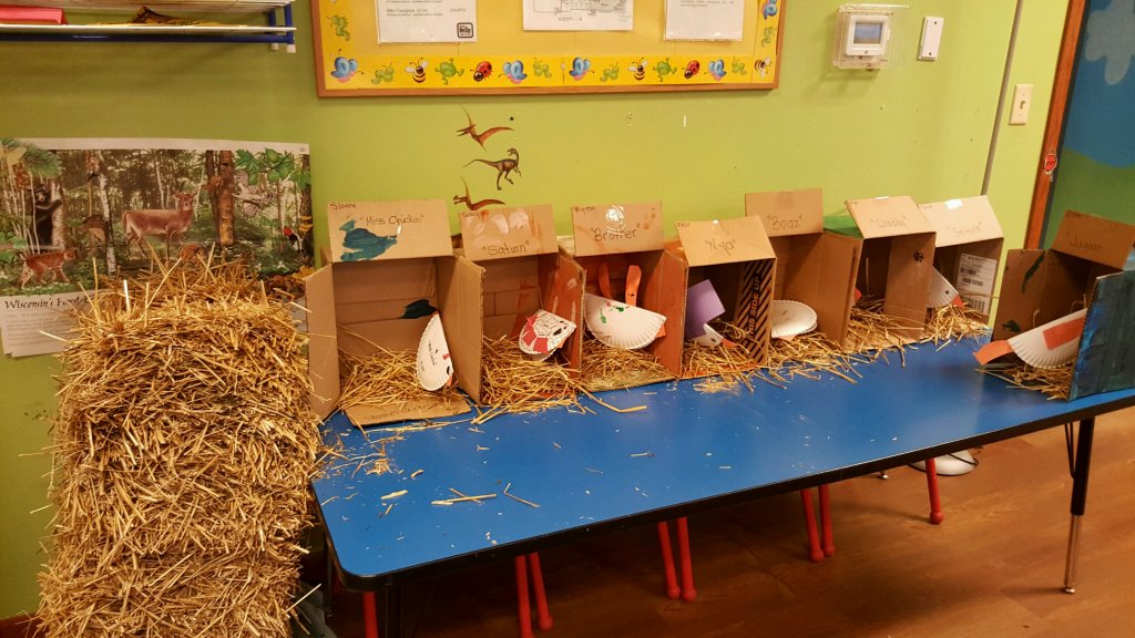The preschoolers added straw to their chicken coops today.